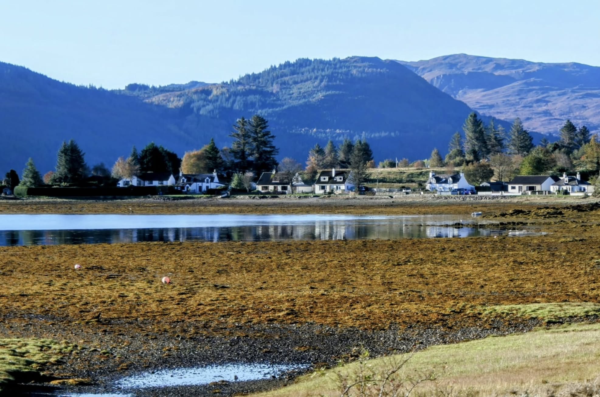 583322608_839131555331071_4737748558605548781_n